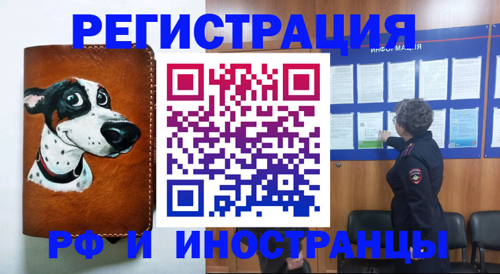 временная регистрация законно в Новозыбкове